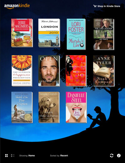 What the Kindle App for iPad Looks Like