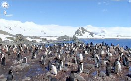 Weird – Google now has Street View service for Antarctica!
